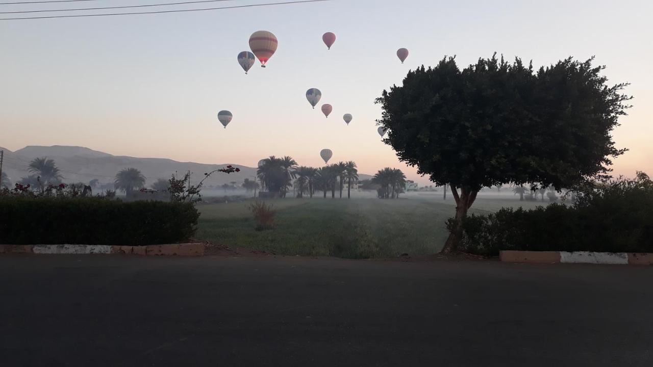 New Memnon Hotel Luxor Exteriör bild